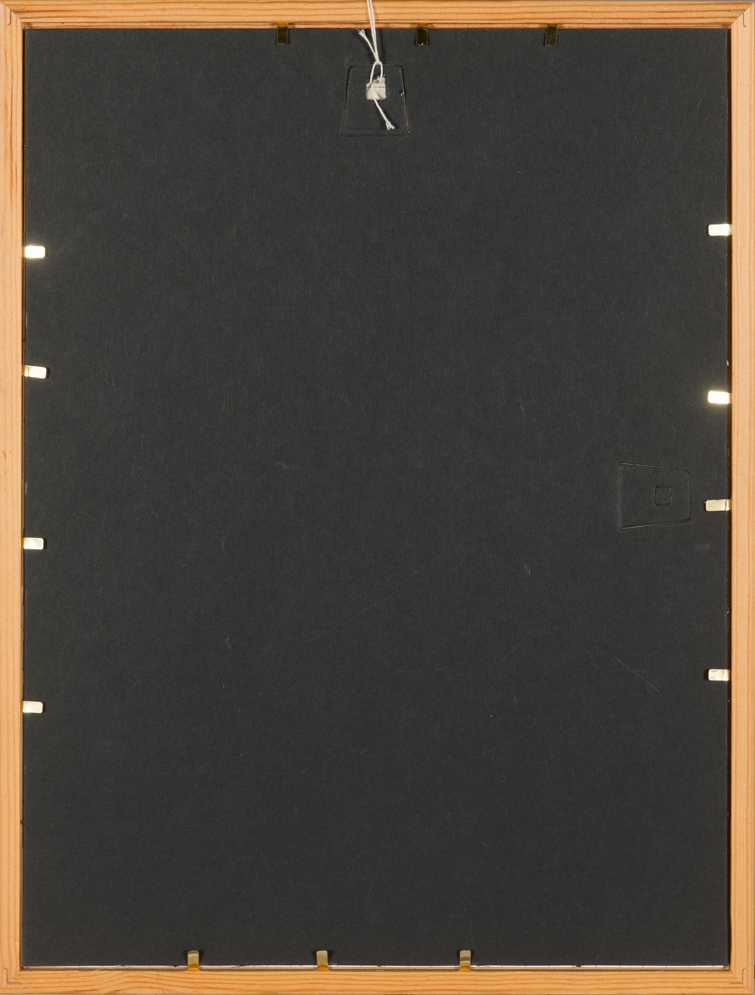 Greta Hällfors-Sipilä, The plant at the window.