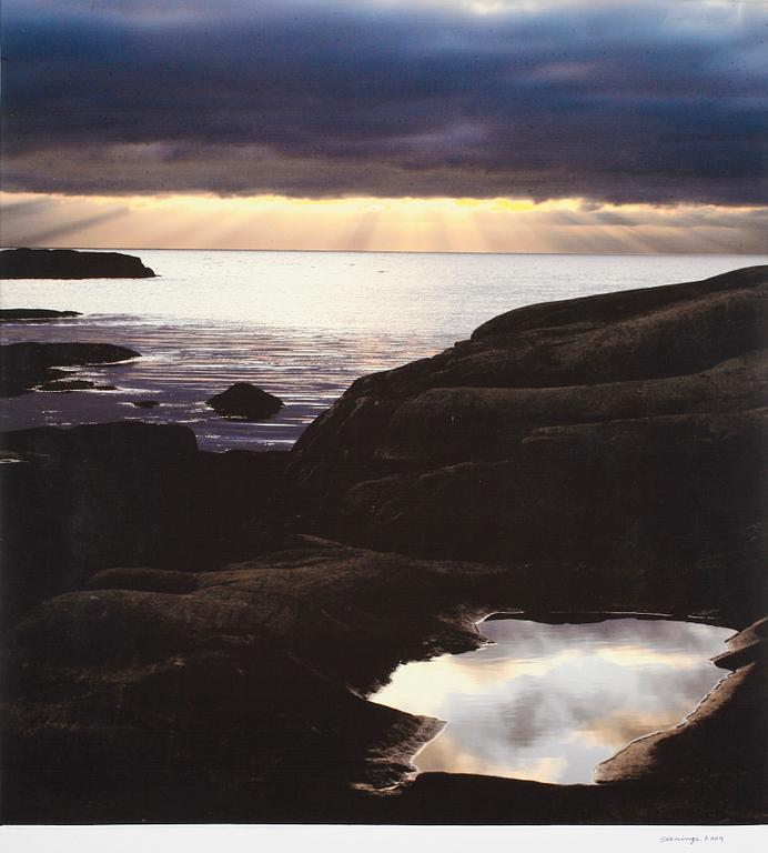 LENNART OLSON, print (digital), sign o dat Steninge 2004.