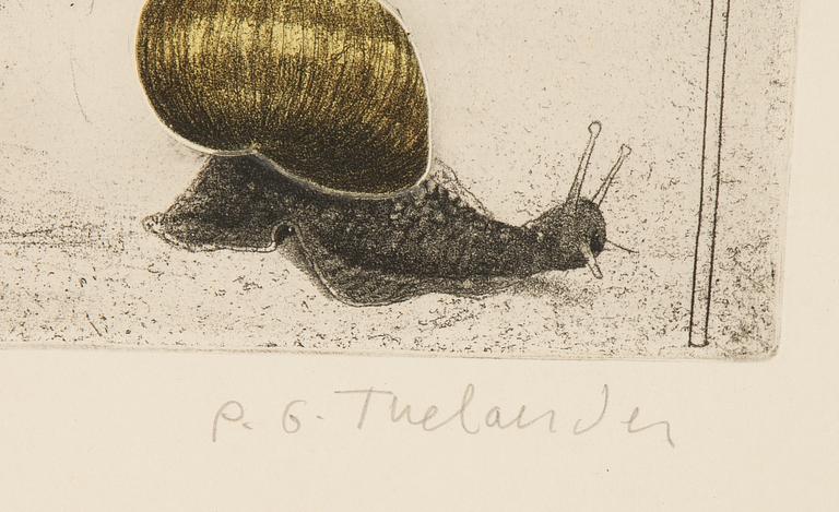 PG Thelander, etching in colours, 1975, signed 17/100.
