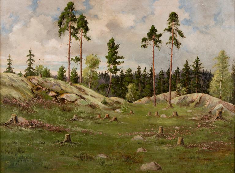 ELLEN FAVORIN, SKOGSLANDSKAP.
