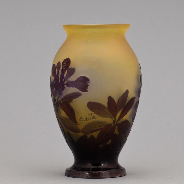 VAS, glas, Émilie Gallé, Frankrike, Jugend 1900-talets början.