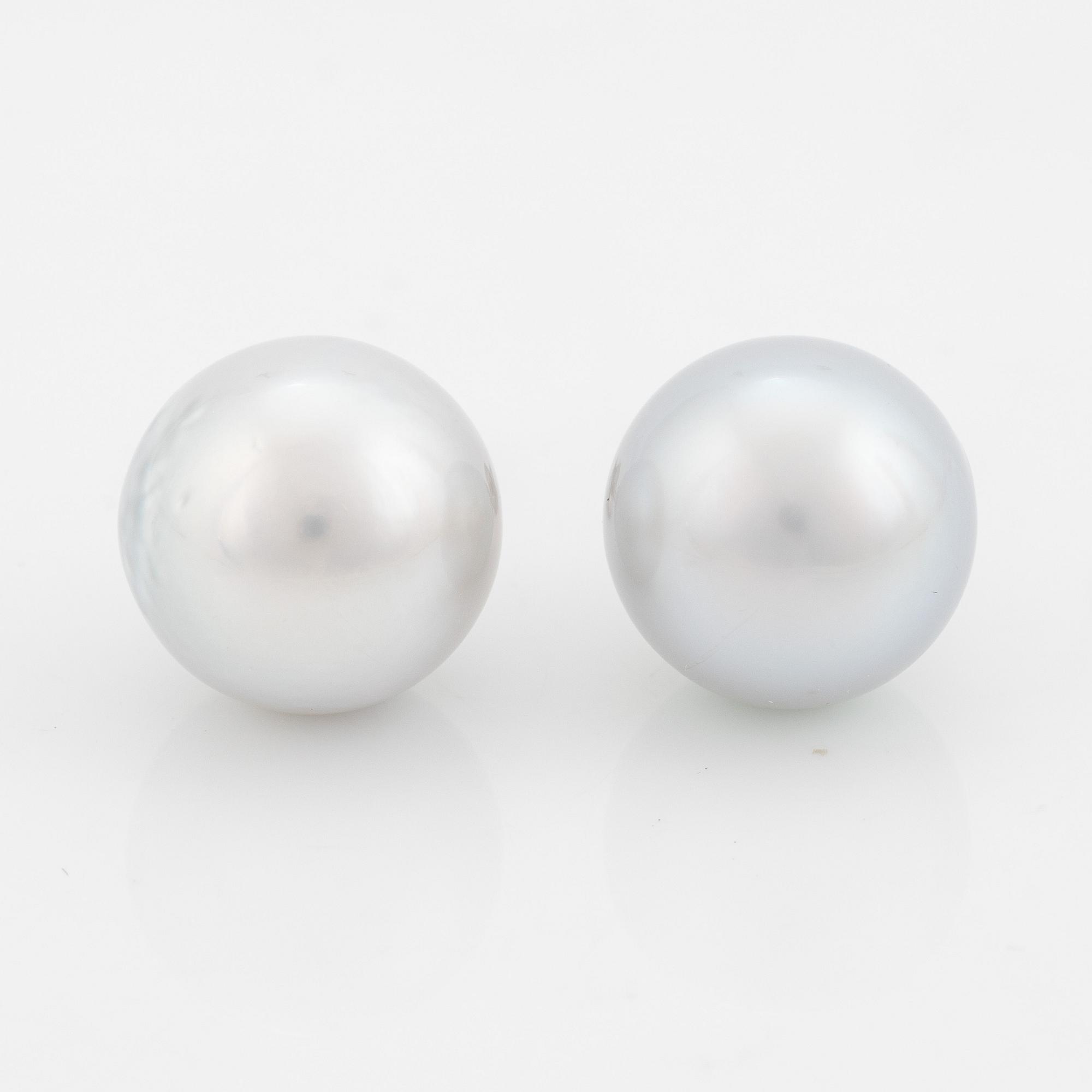 Cultured South sea pearl earrings.