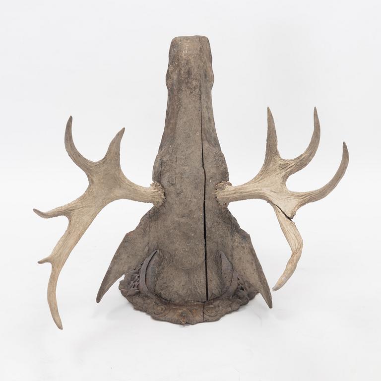 A wooden moose head with horns.