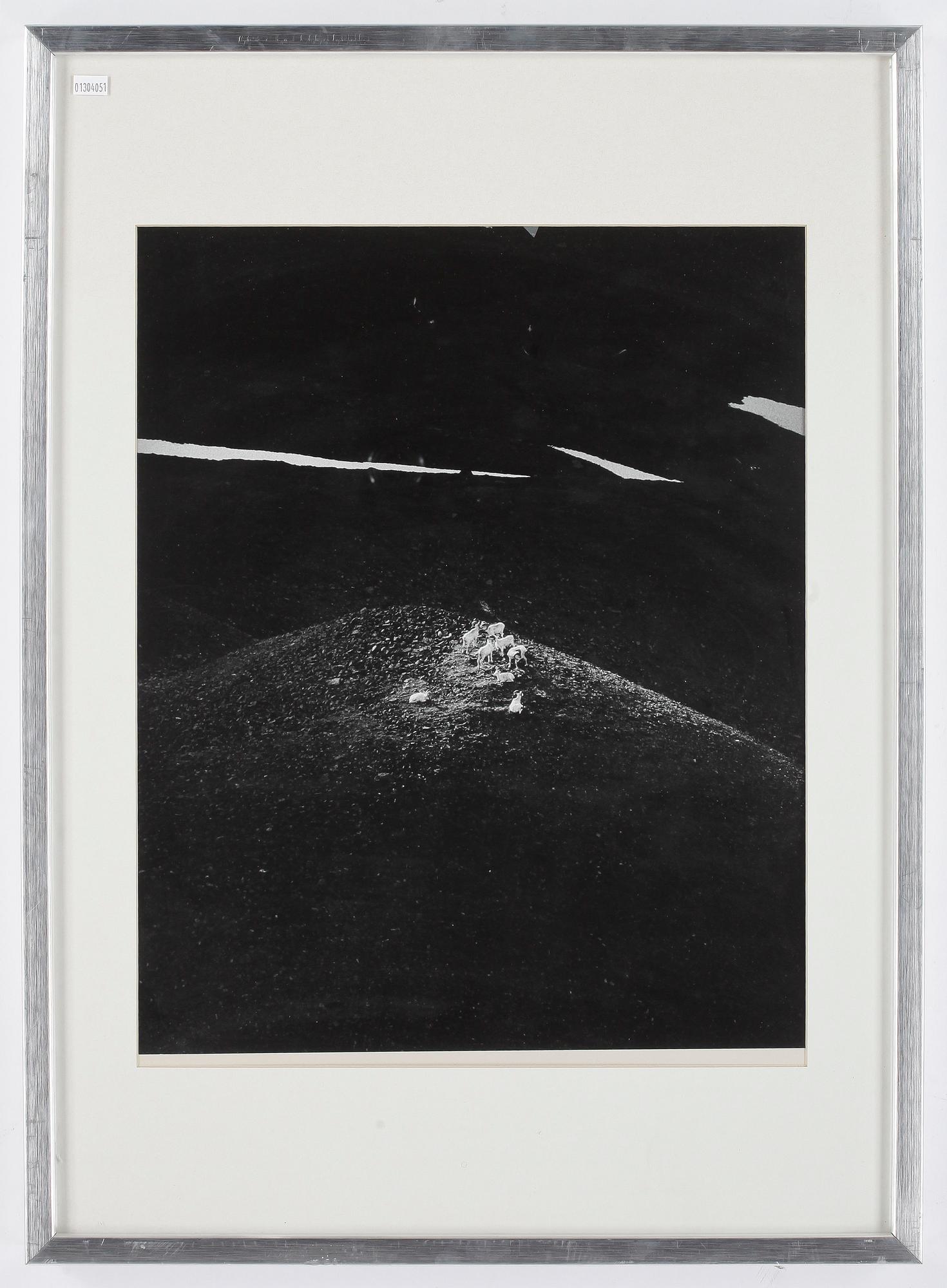 SVEN GILLSÄTER, fotografi.