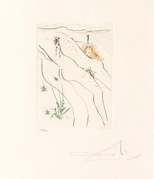 600. Salvador Dalí, "Le Tonneau", ur "Le décameron".