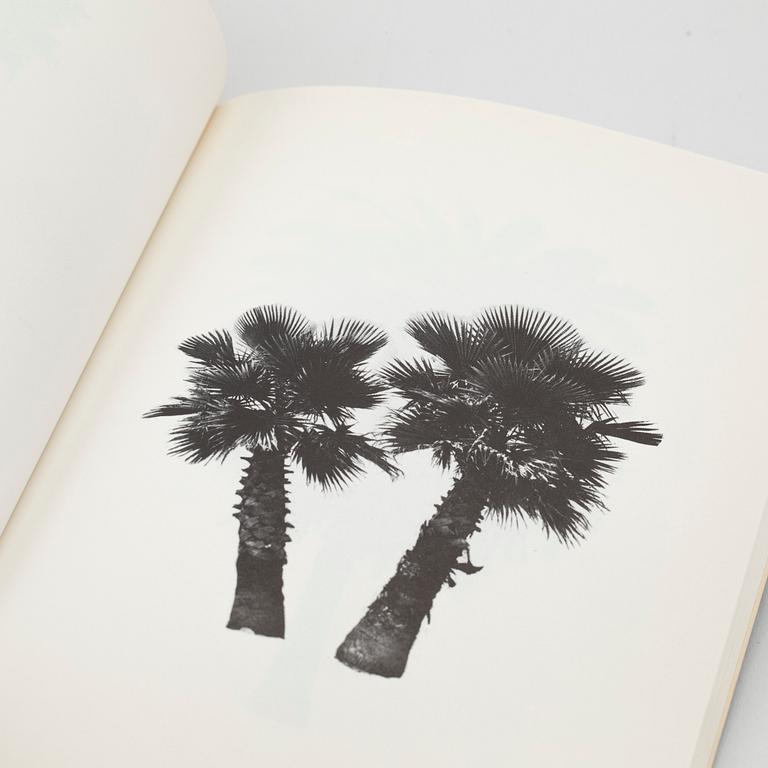 Edward Ruscha, "A few palm trees", 1971.