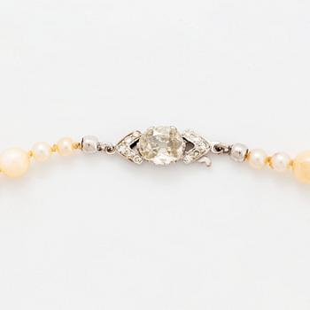 A cultured pearl necklace with a WA Bolin clasp.