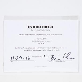 Brian Calvin, "Bloomer".