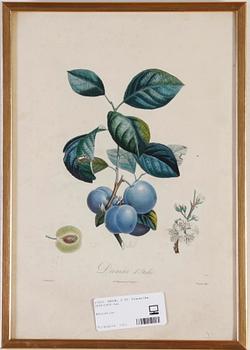 TRYCK, 5 ST. Frankrike, 1800/1900-tal.