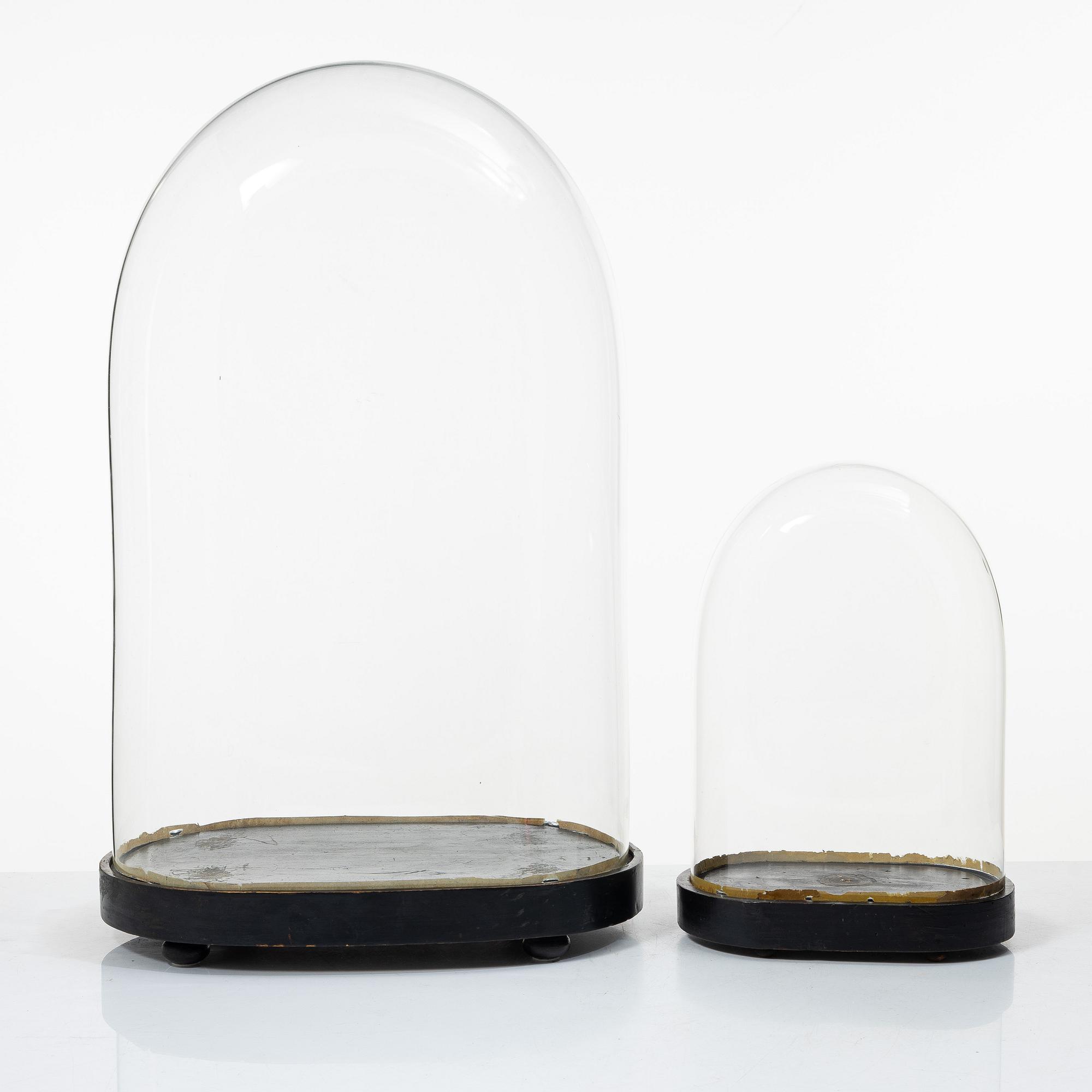 Two glass domes, 19th Century.