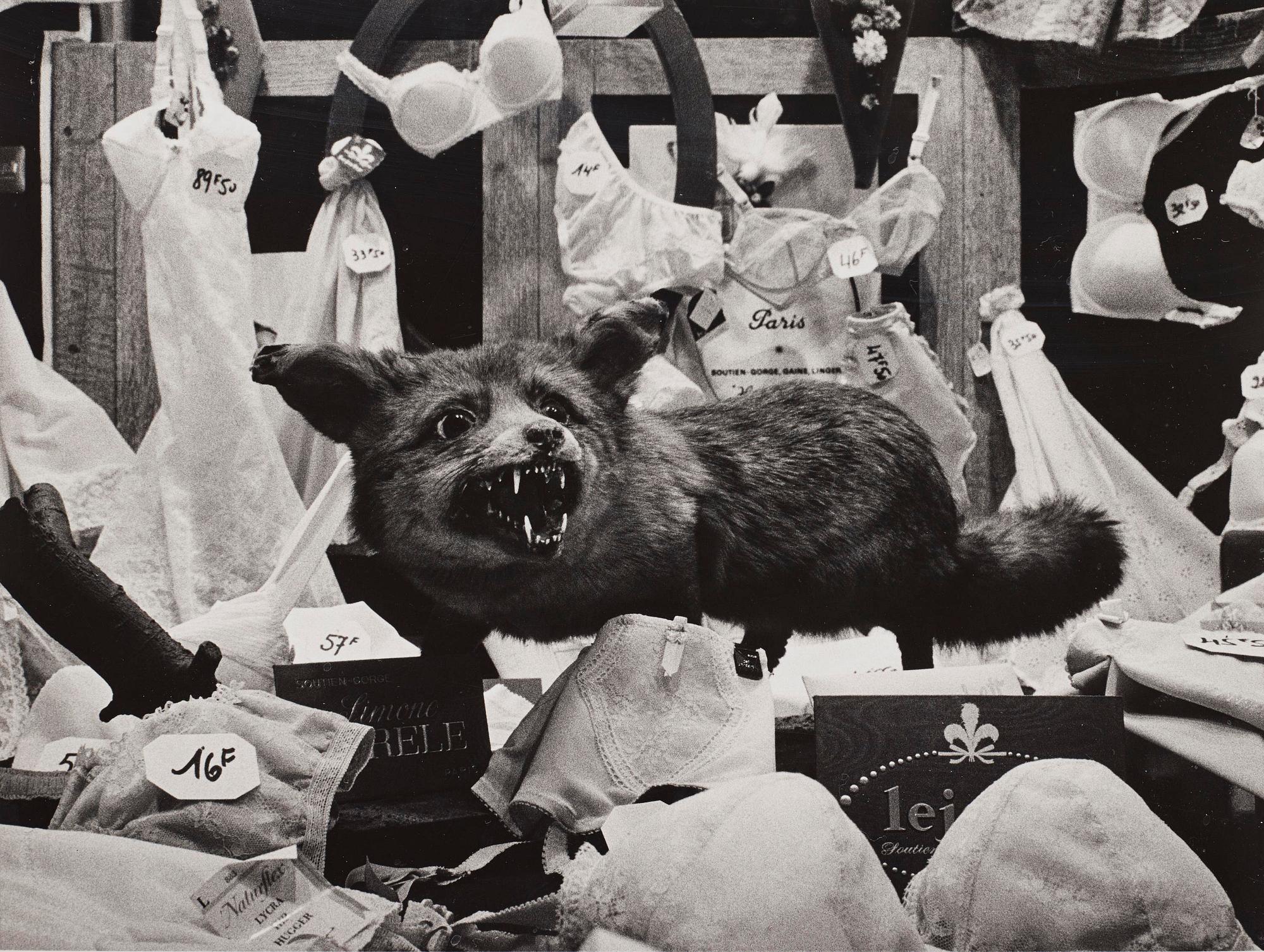 Christer Strömholm, ”Räven på Rue de Rennes”, sent 1970-tal.