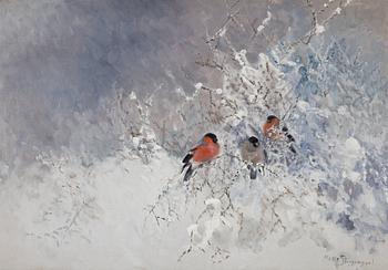 604. Mosse Stoopendaal, "Domherrar" (Bullfinches).