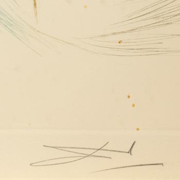 Salvador Dalí, drypoint in colours, signed and numbered x/xxv.