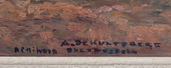 Anshelm Schultzberg, "Bitihorn Skammestein".