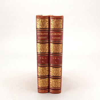 OLIVER GOLDSMITH 'A History of The Earth and Animated Nature' I-II, hand colored plates, c 1870.