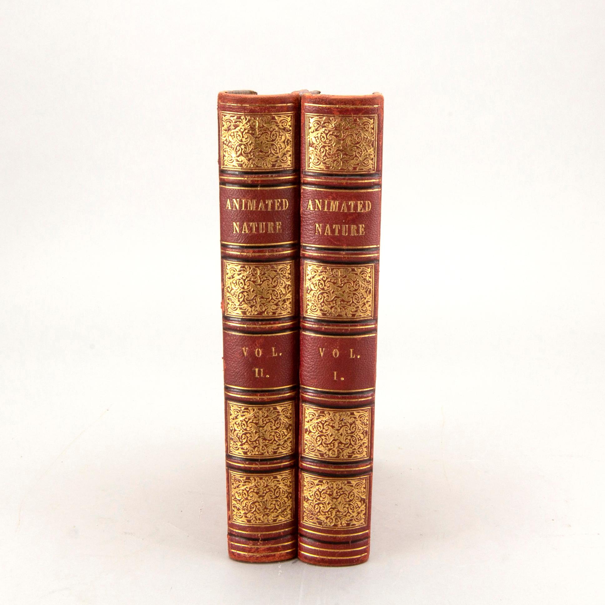 OLIVER GOLDSMITH 'A History of The Earth and Animated Nature' I-II, hand colored plates, c 1870.