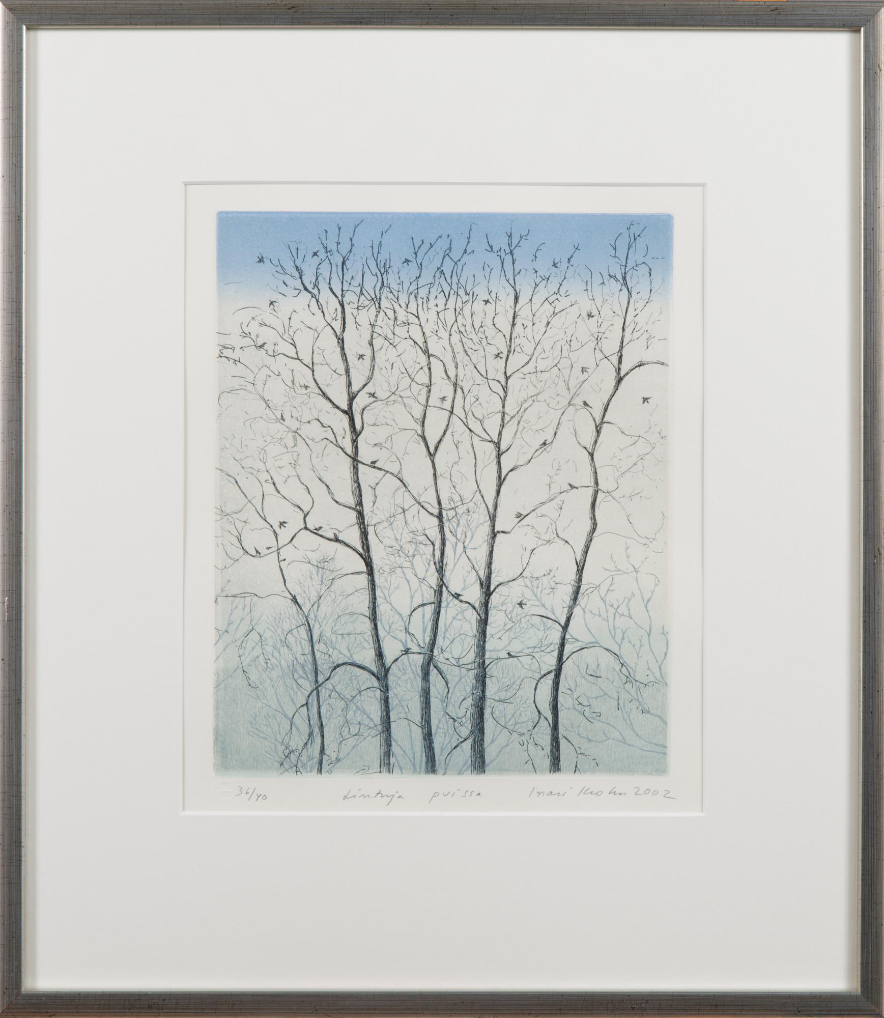 INARI KROHN, etsning, signed and dated 2002, numbered 36/40.