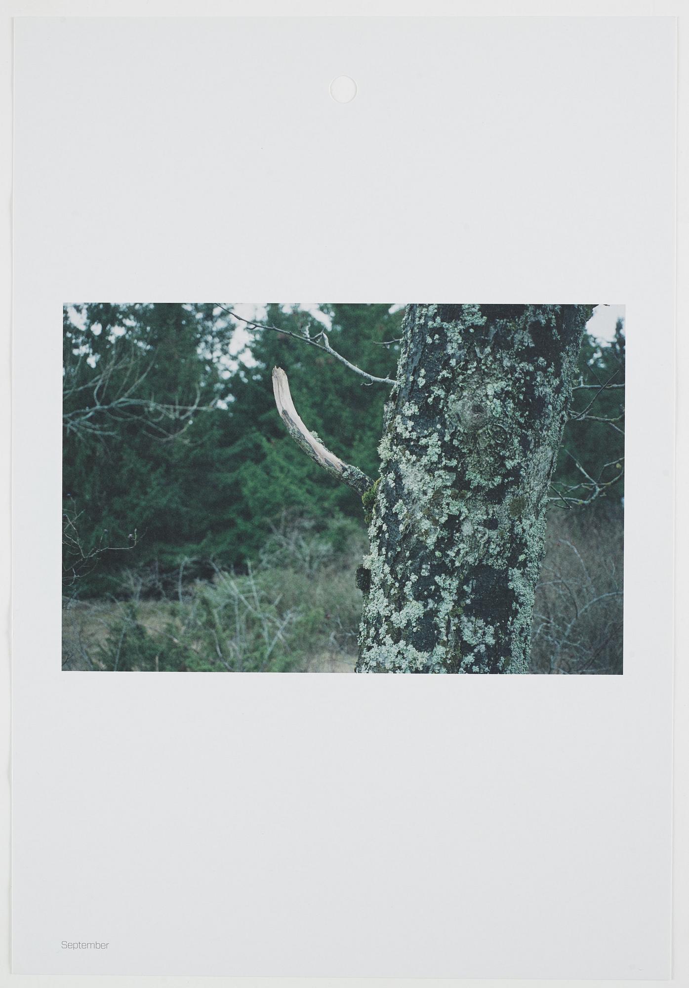 ANDREAS ERIKSSON, portfolio. Signed AE inside the box and numbered 18/250.