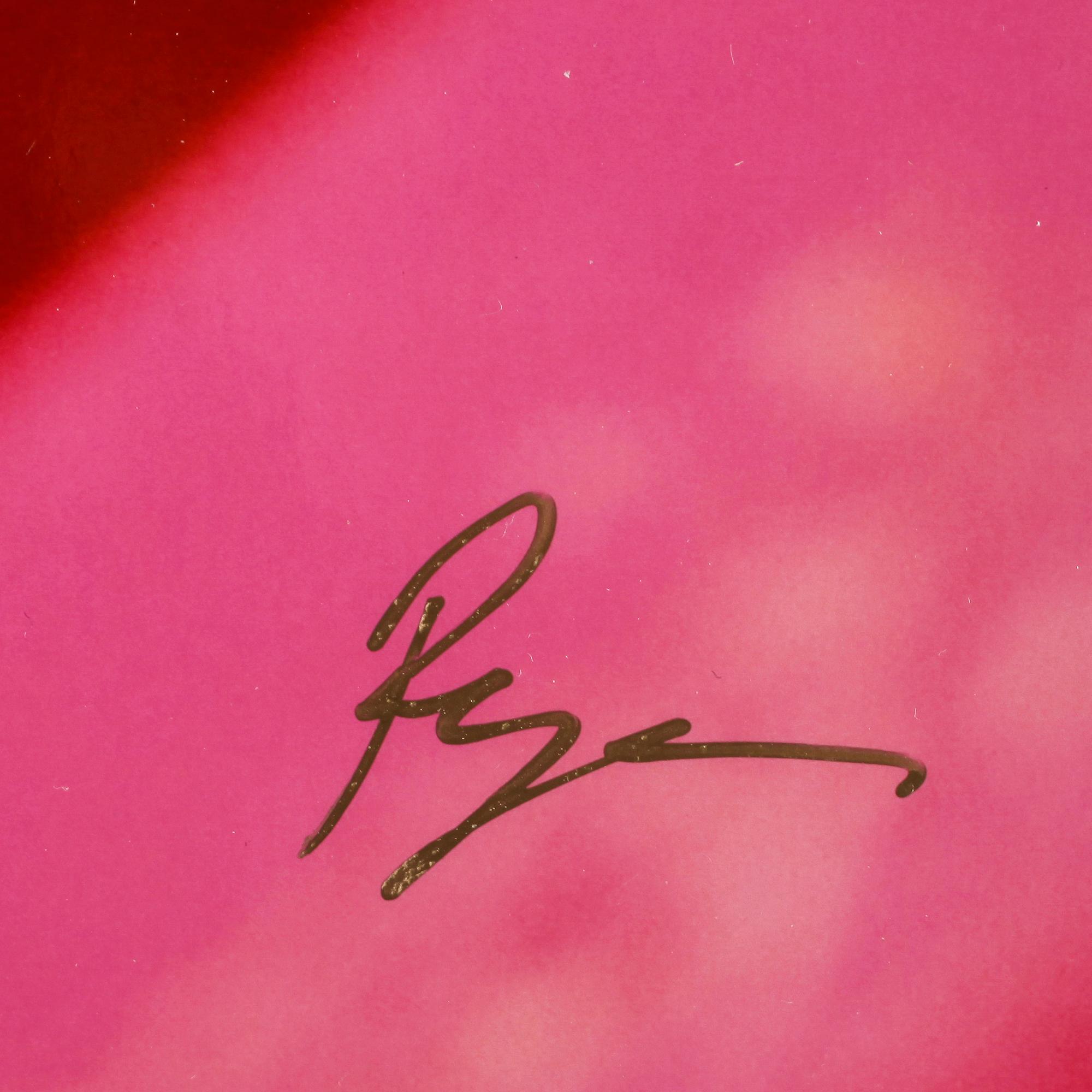 RICHARD RYAN, "Pink toy", signerat fotografi, Notes nr 0082, ur serien "Notes by Ryan". 2011.