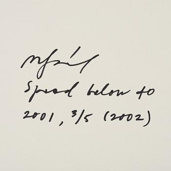 Miklos Gaàl, "Speed Below 40", 2001/2002.