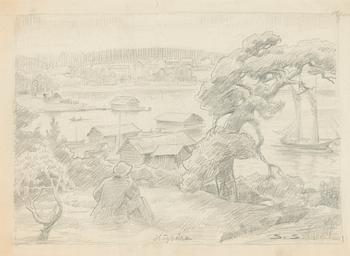 Santeri Salokivi, Vy från Högsåra.