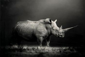 Björn Persson, "Natural Power", 2023.