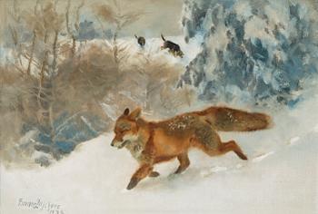 735. Bruno Liljefors, Fox and foxhounds in winter landscape.
