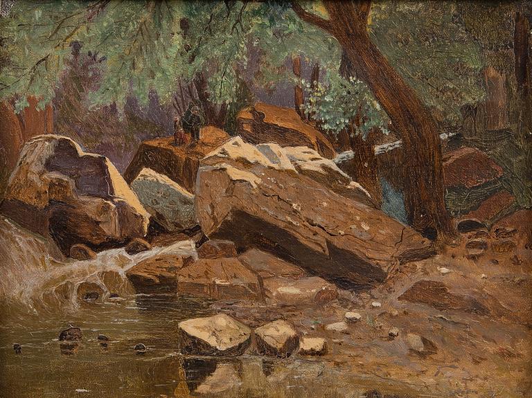 ILJA ZANKOVSKY, FOREST CREEK.