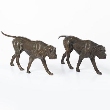 Two dogs.