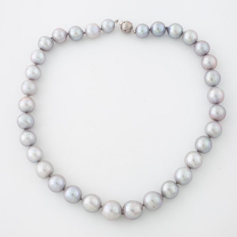 COLLIER, med odlade pärlor.