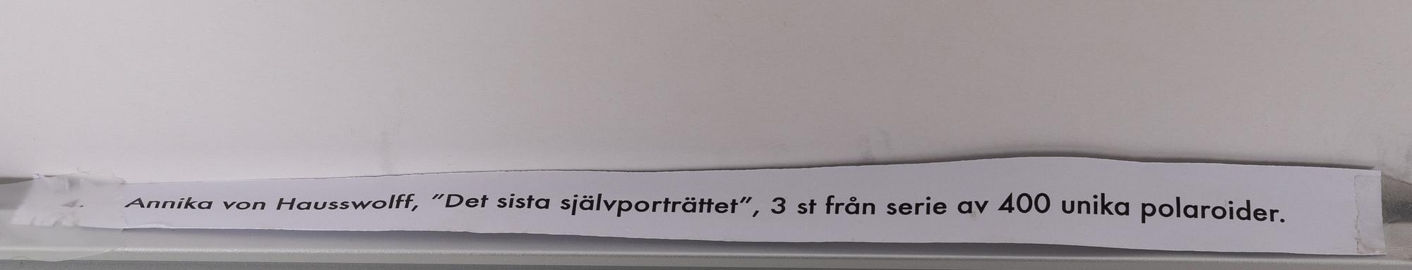 Annika Elisabeth von Hausswolff, "Det sista självporträttet".