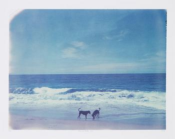 Dan Isaac Wallin, photograph signed and numbered 1/50.
