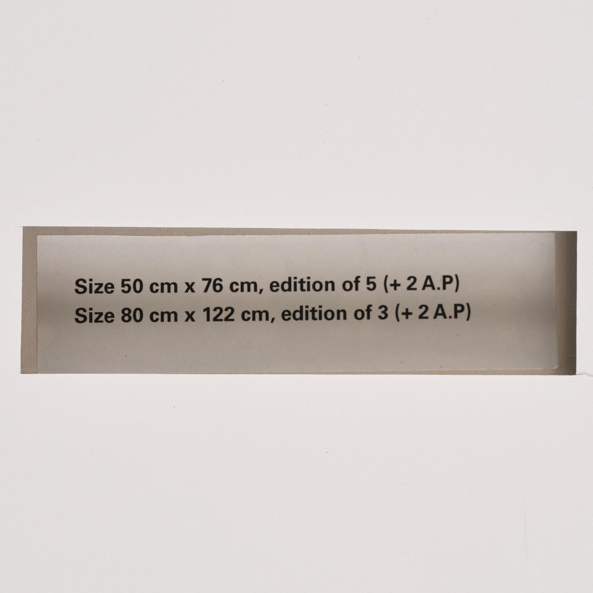 Mikael Jansson, "Freja at Le Louvre", 2010.