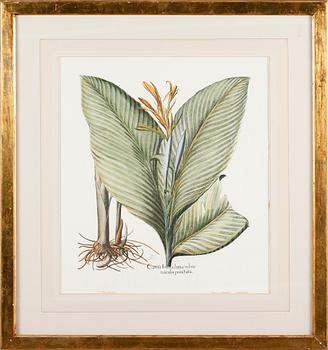 TAVLOR, 6 st, tryck, 1900-talets andra hälft.