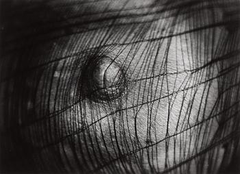 Christer Strömholm, "Fox Amphoux", 1987.