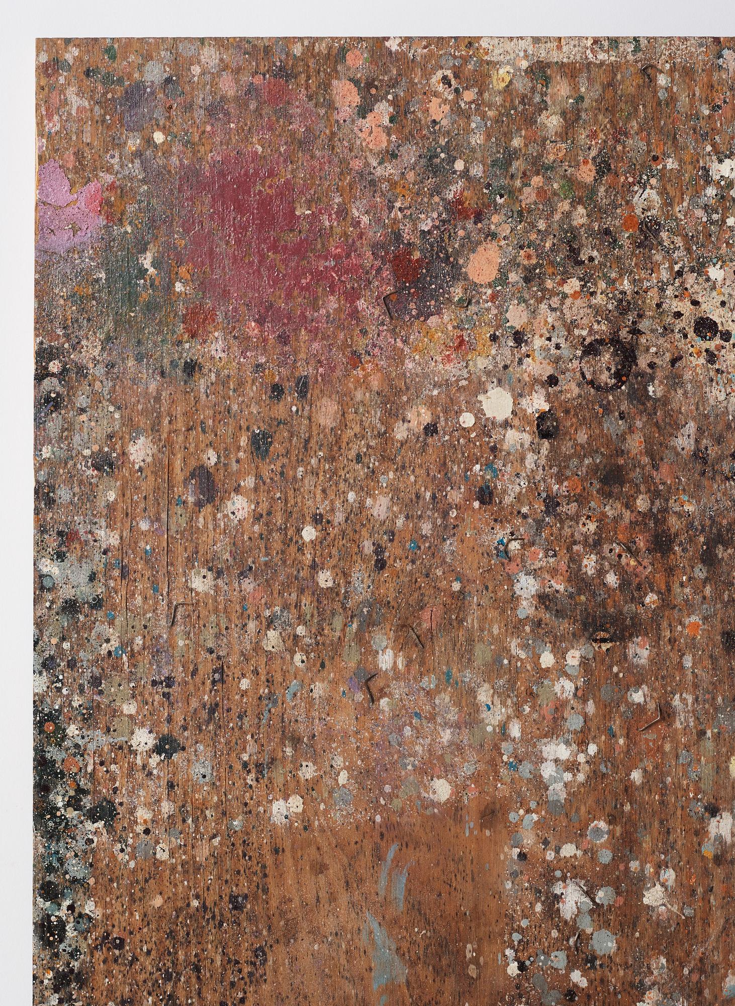 Fredrik Vaerslev, "Shelf Paintings (Dew Problems) #11".