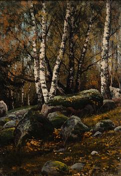 THORSTEN WAENERBERG, BIRCH TREES.