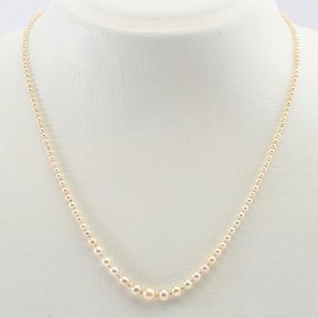 Necklace of cultured pearls with a clasp of gold set with diamonds.