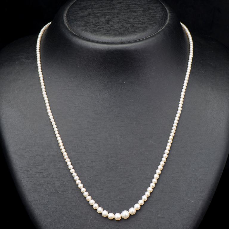PÄRLCOLLIER, lås 14K guld med gammal- och rosenslipade diamanter. I. Erling, Helsingfors 1903-1948.