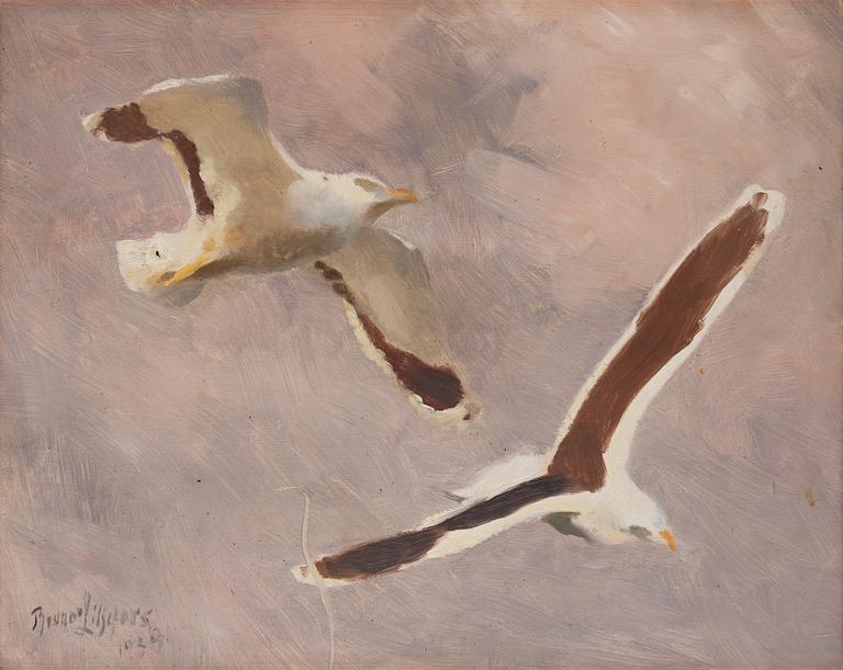 Bruno Liljefors, Flying seagulls.