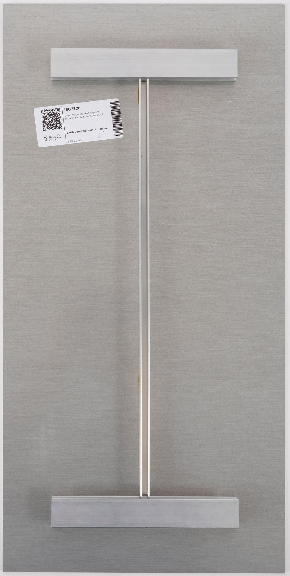 Dena Yago, digitalt C-print monterad på aluminium, 2012.