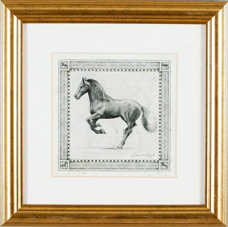 TAVLOR, 13 st, tryck, 1900-talets andra hälft.