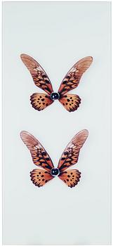 Nathalia Edenmont, photograph signed and numbered 1/6 on verso.