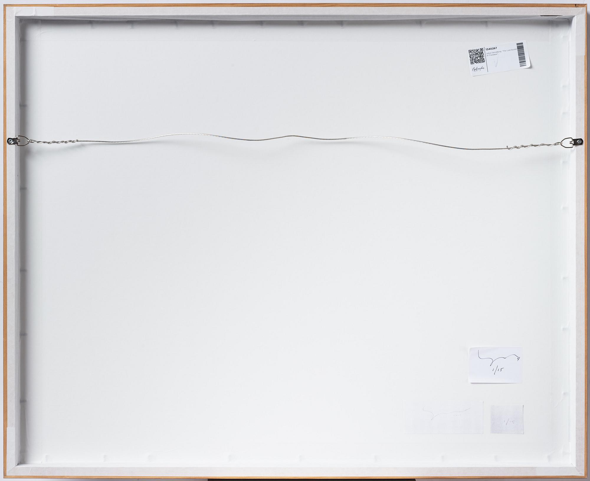 Johan Strindberg, "The Lost Secret of Theodore", 2015.