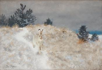 Bruno Liljefors, Winter landscape with hare.