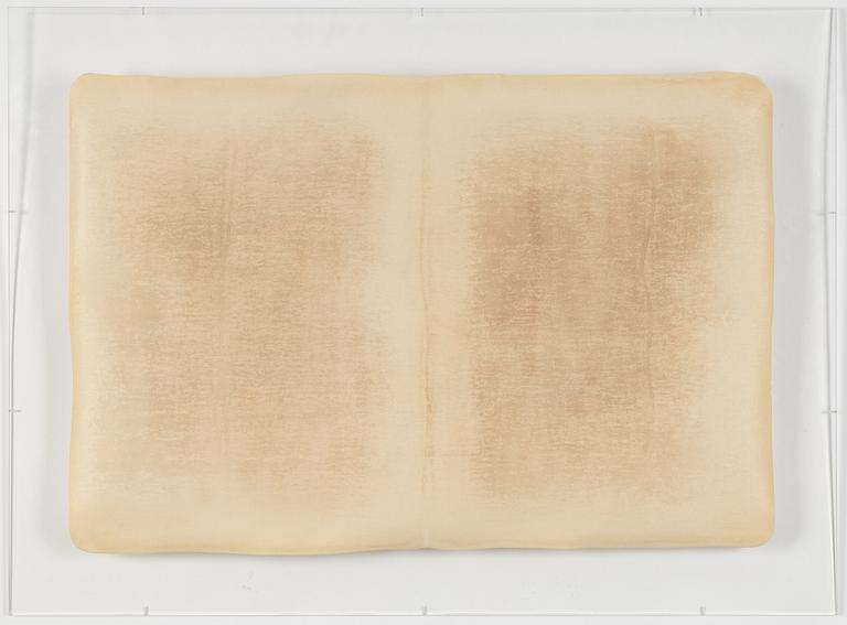 Michelle Stuart, Utan titel.