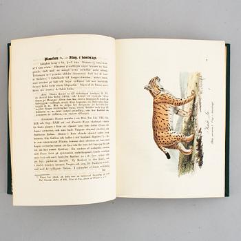 Med 200 litograferade zoologiska planscher, 1832-40, (2 vol).