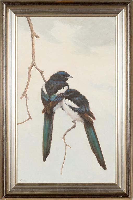 Reima Nurmikko, Magpies.