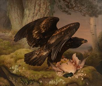 Ferdinand von Wright, An eagle with its prey.