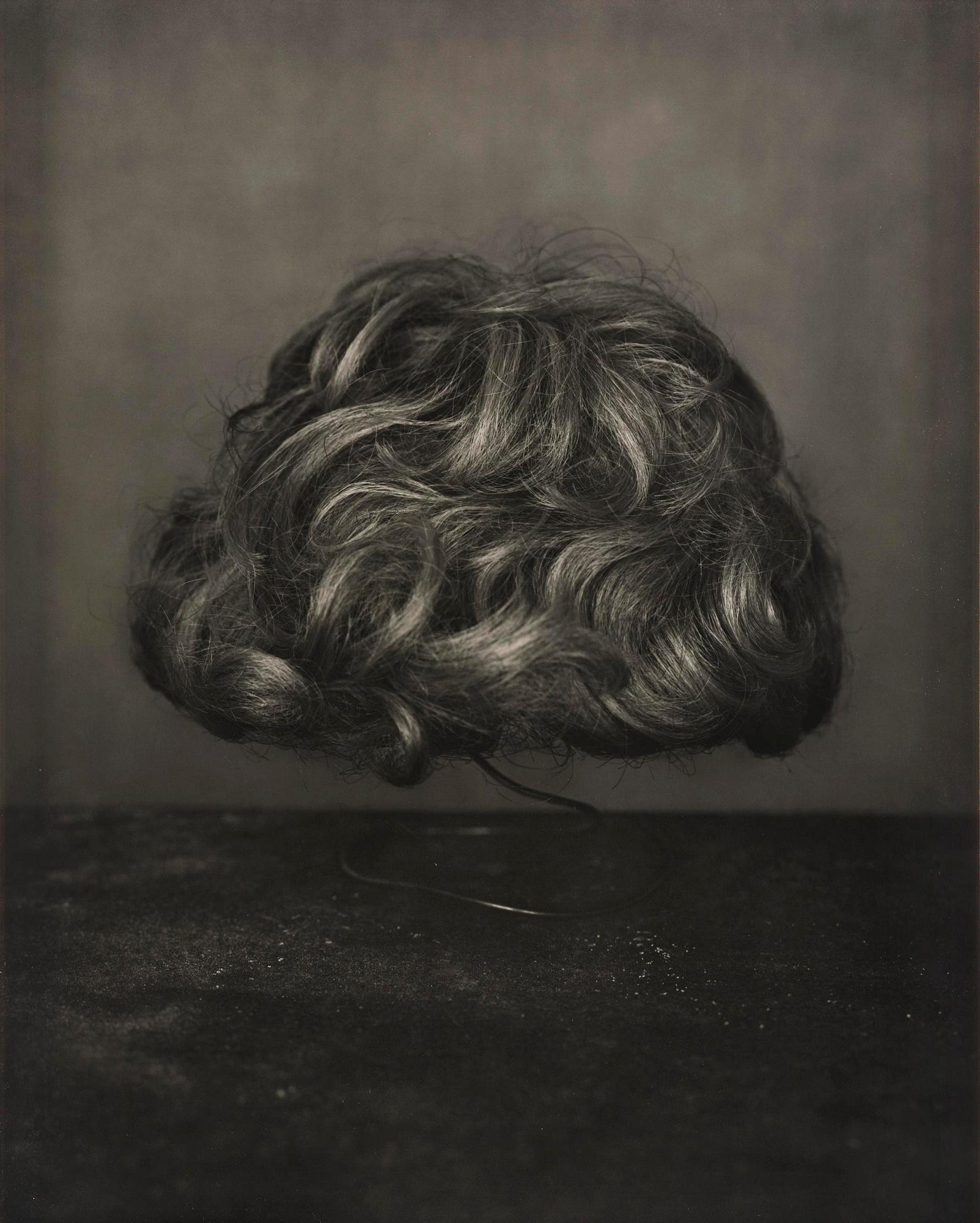 Denise Grünstein, “Wig”, 2011.